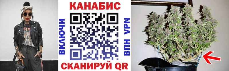 купить  цена  Чайковский  МАРИХУАНА VHQ 